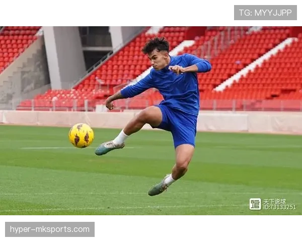 奥萨苏纳青训实力